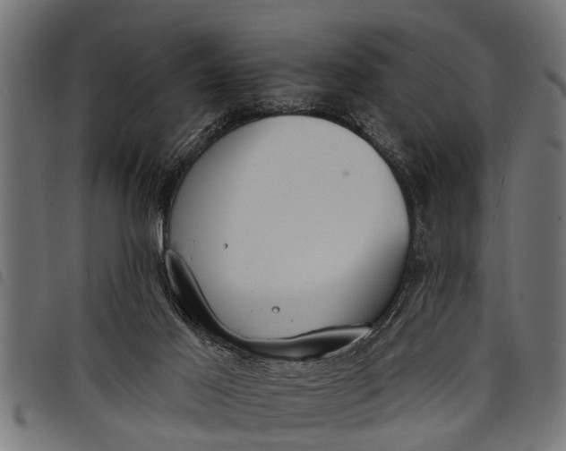 X0000097810021200803281109