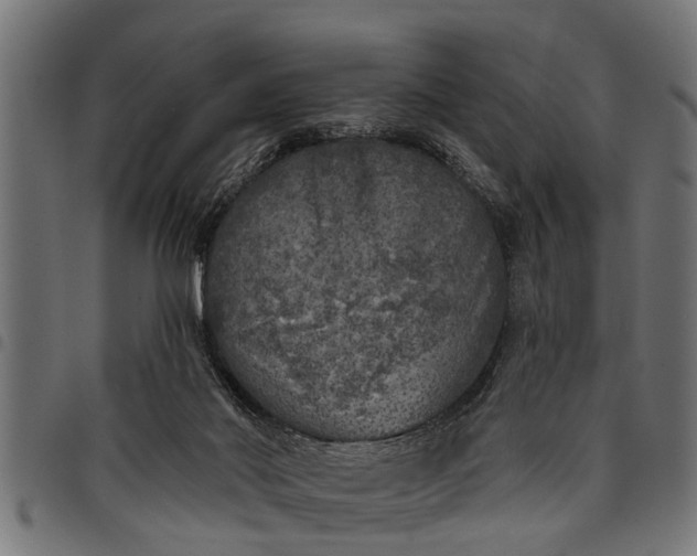 X0000097810022200803281109