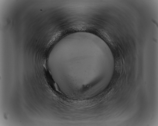 X0000097810023200803281109