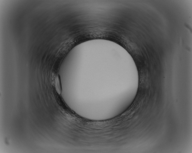 X0000097810025200803281109