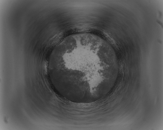 X0000097810026200803281109