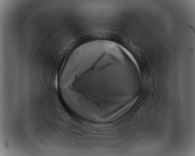 X0000097810027200803281109