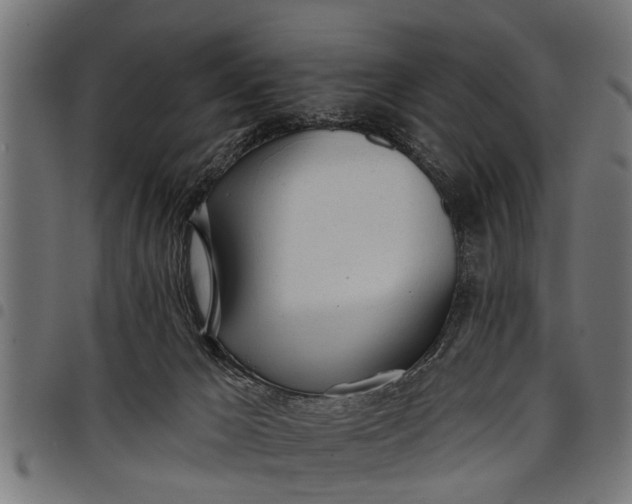 X0000097810029200803281109