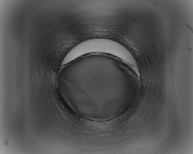 X0000097810031200803281109