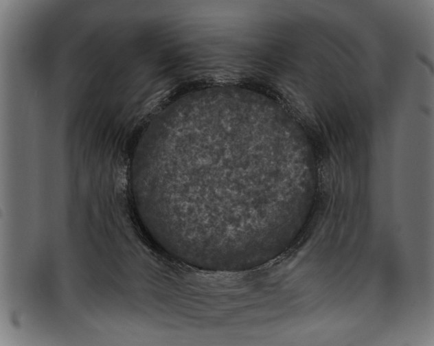 X0000097810032200803281109