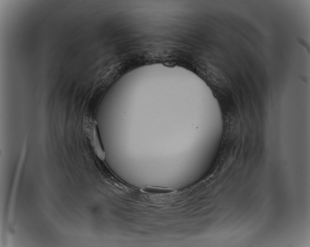 X0000097810033200803281109