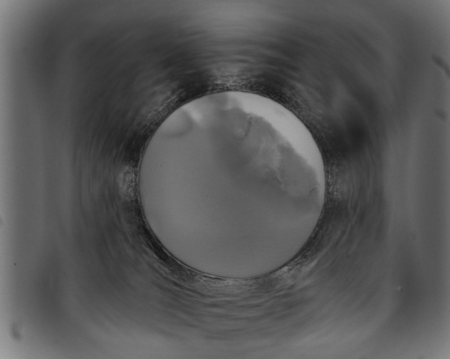 X0000097810036200803281109