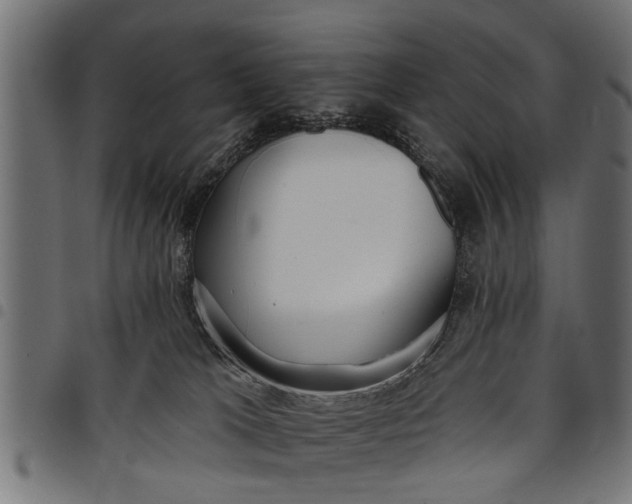 X0000097810037200803281109