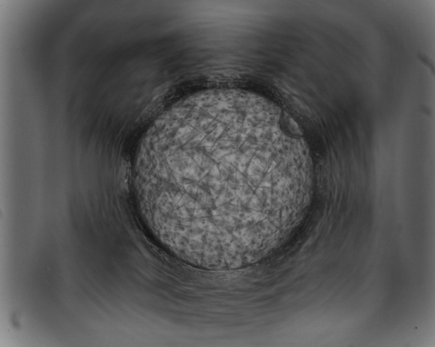 X0000097810038200803281109