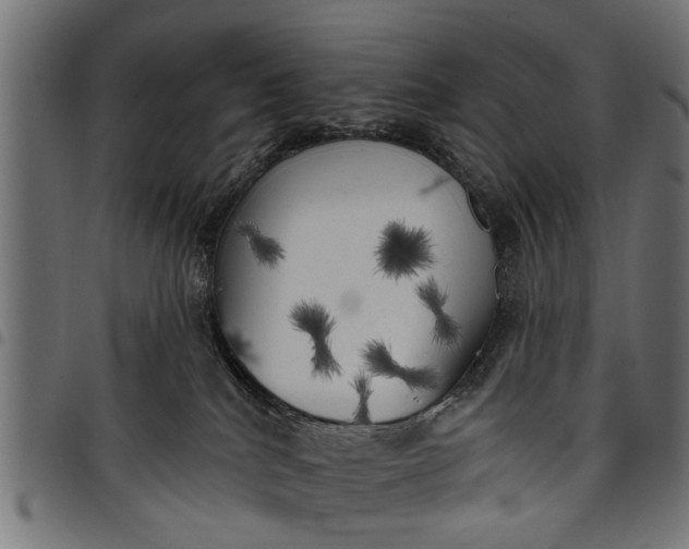 X0000097810040200803281109