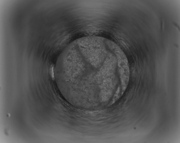 X0000097810042200803281109