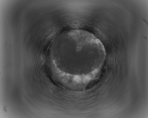 X0000097810043200803281109