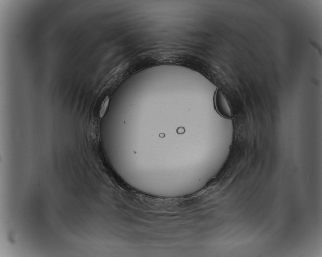 X0000097810044200803281109