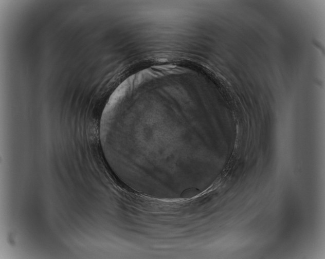 X0000097810048200803281109