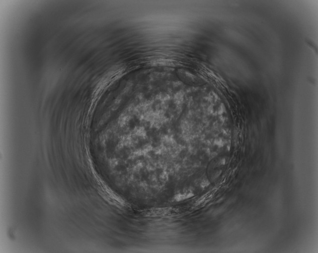 X0000097810049200803281108