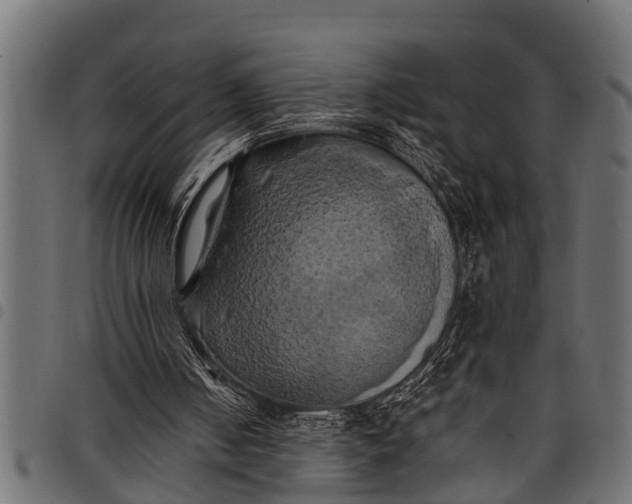 X0000097810050200803281108