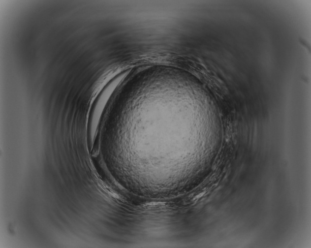 X0000097810052200803281108