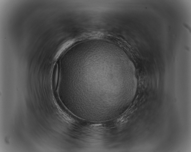 X0000097810054200803281108