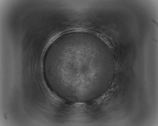 X0000097810055200803281108