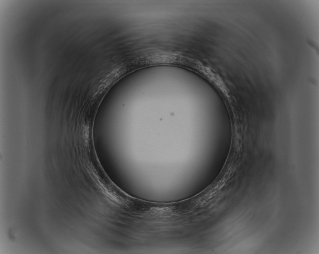 X0000097810057200803281108