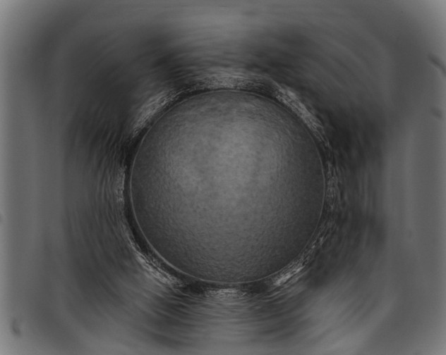 X0000097810058200803281108