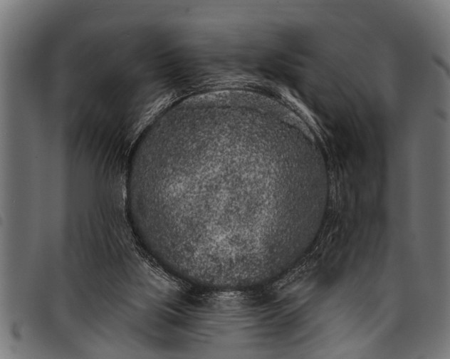 X0000097810059200803281108