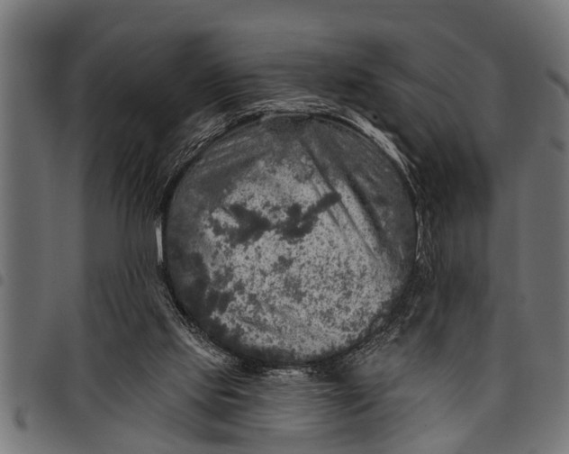 X0000097810061200803281108