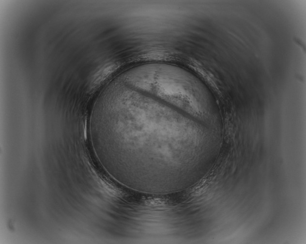 X0000097810062200803281108