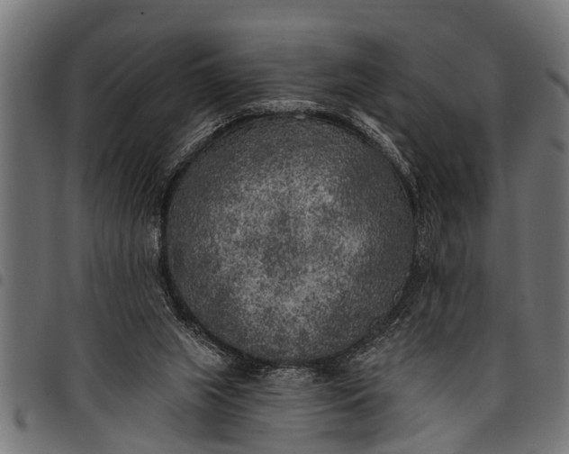 X0000097810063200803281108