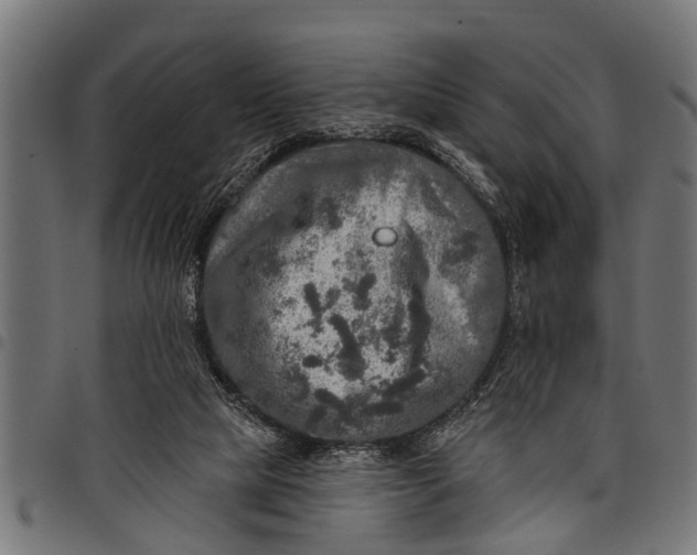 X0000097810065200803281108