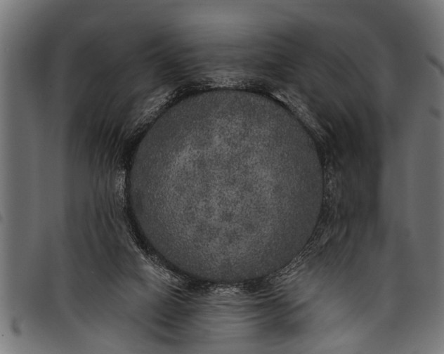 X0000097810066200803281108