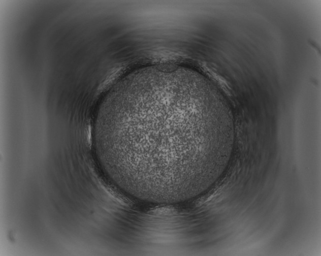 X0000097810067200803281108