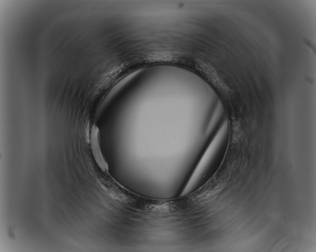 X0000097810068200803281108