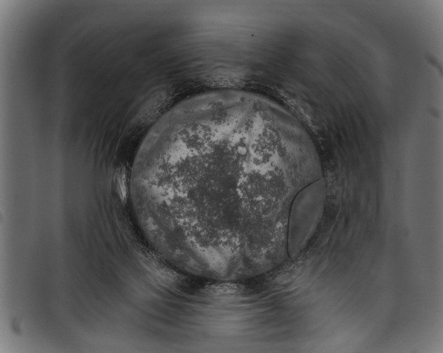 X0000097810069200803281108