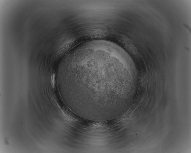 X0000097810070200803281108