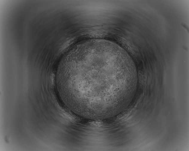 X0000097810071200803281108