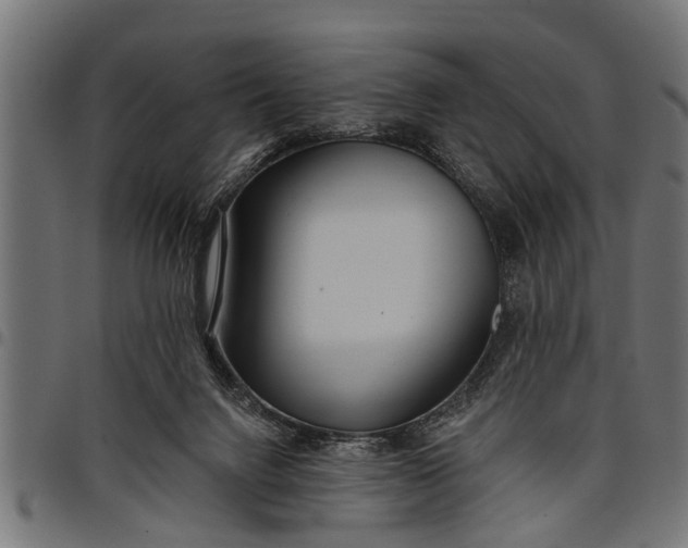 X0000097810072200803281108