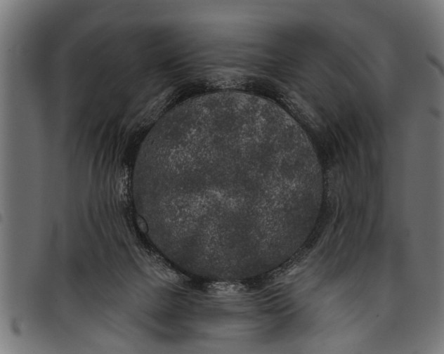 X0000097810073200803281108