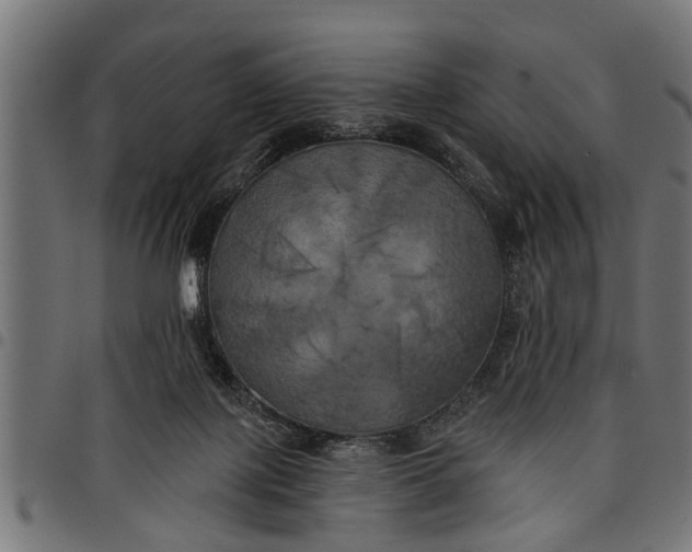 X0000097810075200803281108