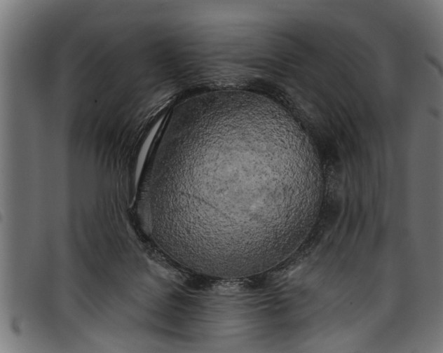 X0000097810076200803281108