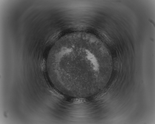 X0000097810077200803281108