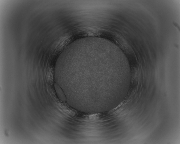 X0000097810078200803281108