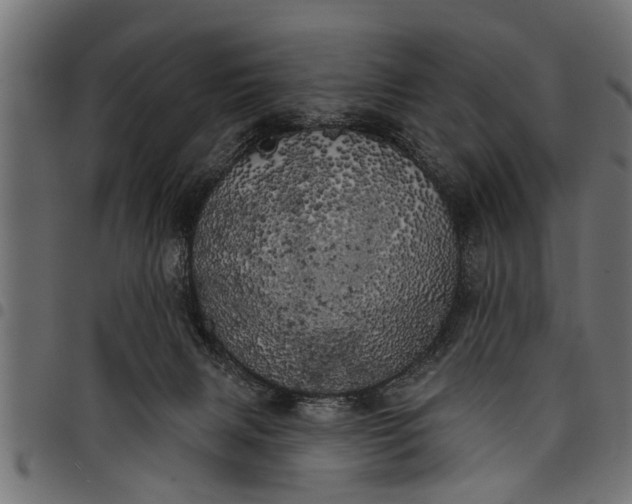 X0000097810079200803281108