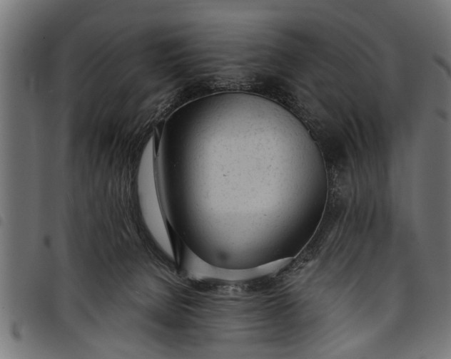 X0000097810080200803281108