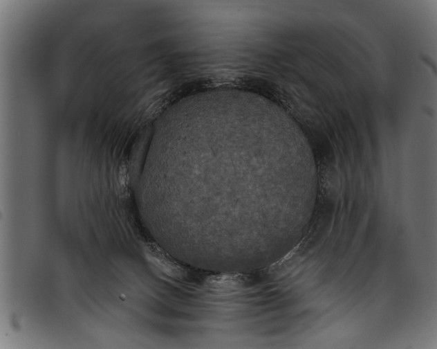 X0000097810082200803281108