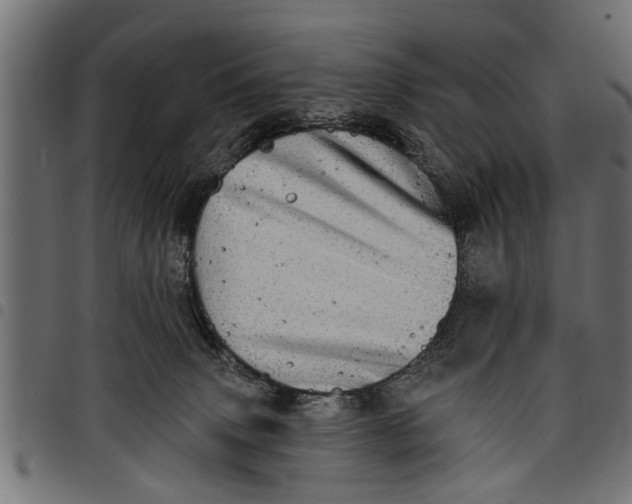 X0000097810083200803281108