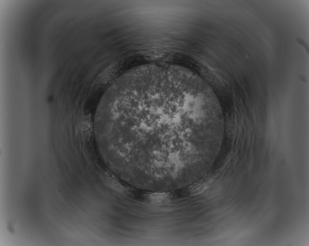 X0000097810085200803281108