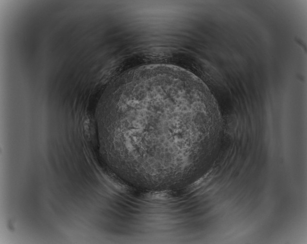 X0000097810086200803281108