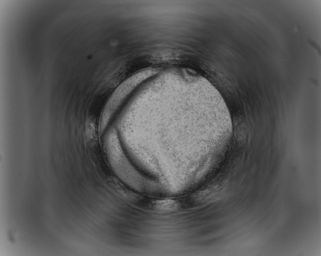 X0000097810087200803281108