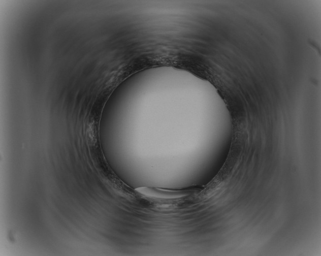 X0000097810088200803281108